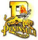 PVPHS