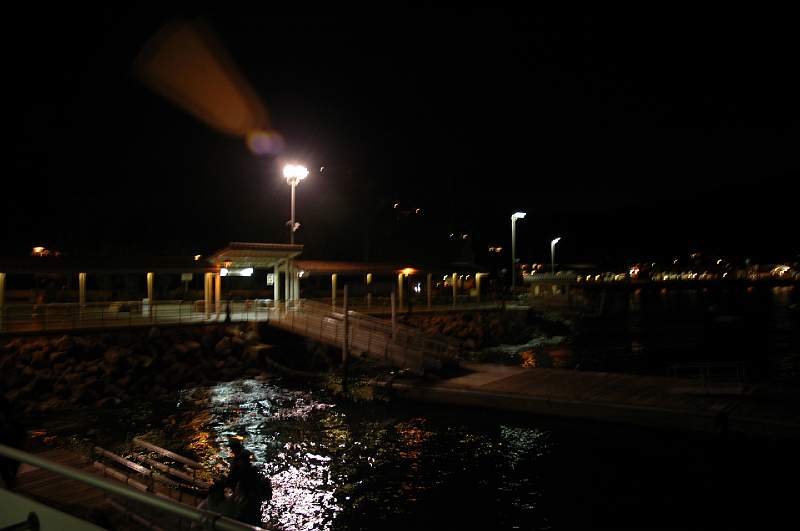 DSC_0081.JPG