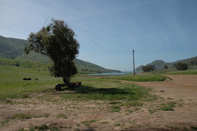 DSC_0115.JPG