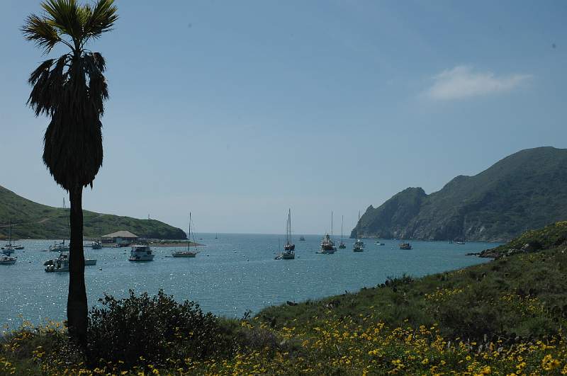 DSC_0135.JPG