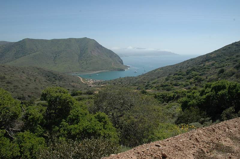 DSC_0137.JPG