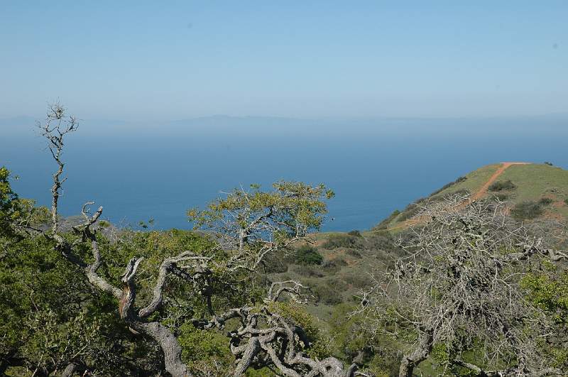 DSC_0149.JPG