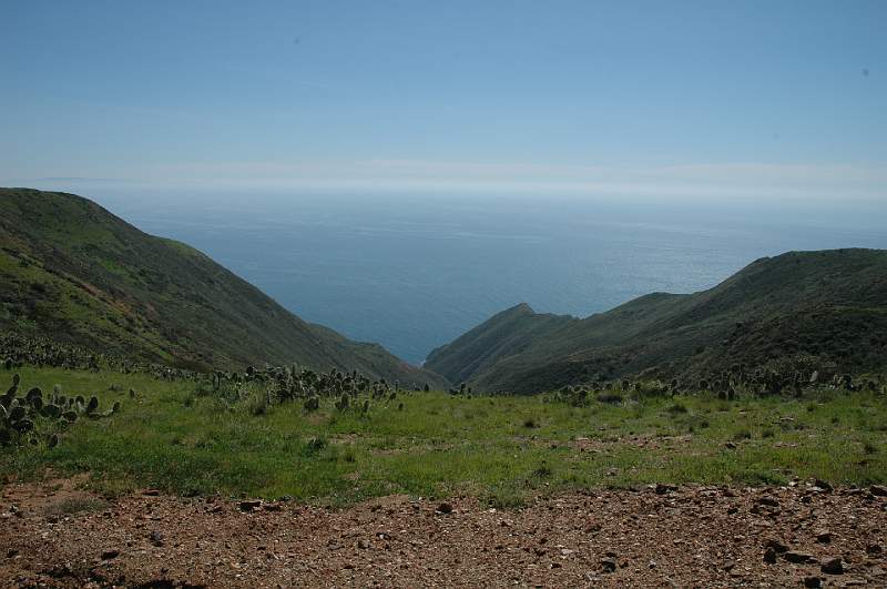 DSC_0152.JPG