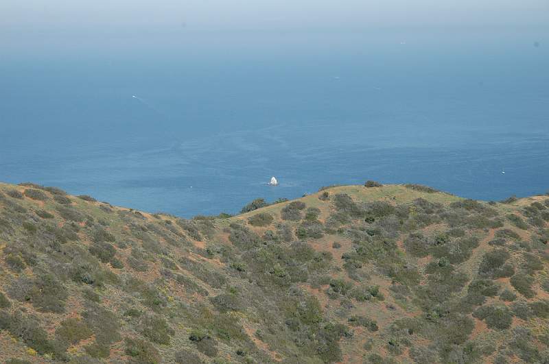 DSC_0155.JPG