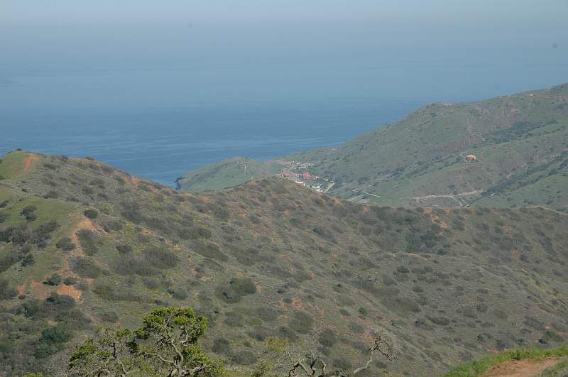 DSC_0156.JPG