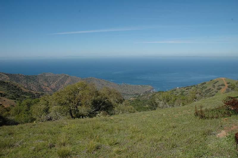 DSC_0157.JPG
