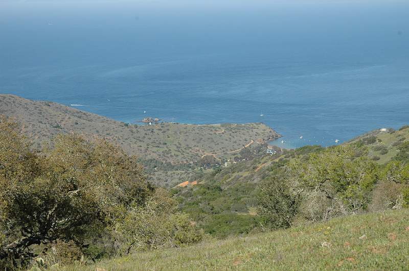 DSC_0160.JPG