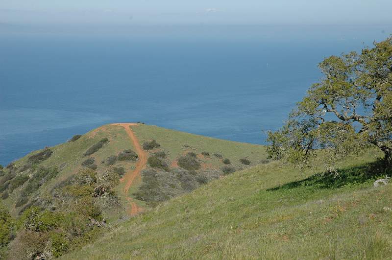 DSC_0164.JPG