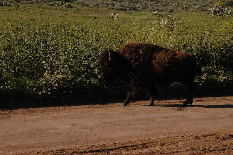 DSC_0169.JPG