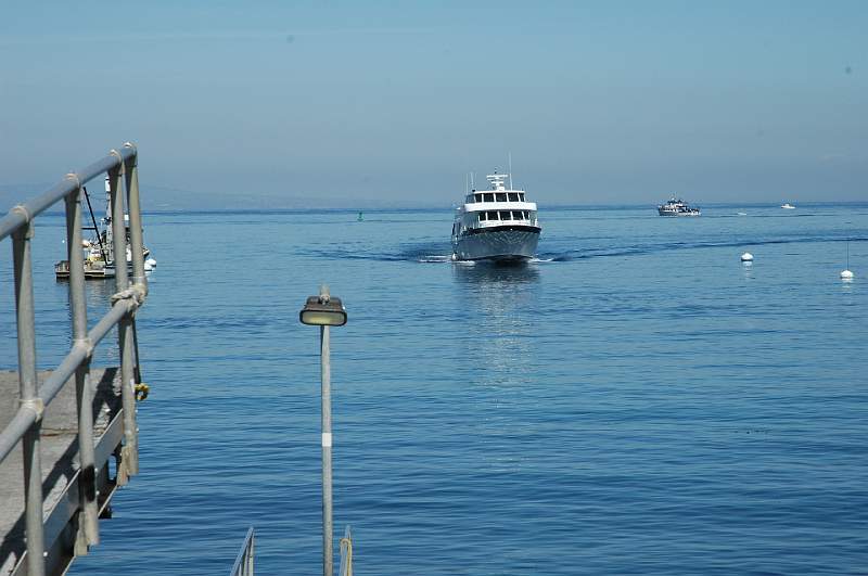 DSC_0188.JPG