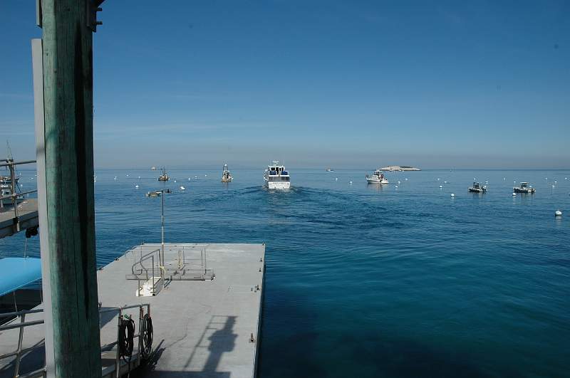 DSC_0226.JPG