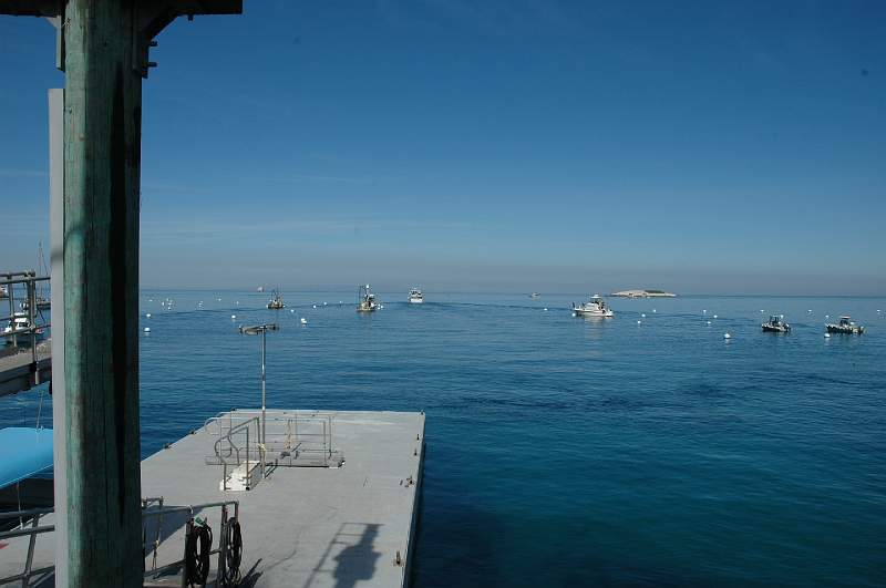 DSC_0232.JPG