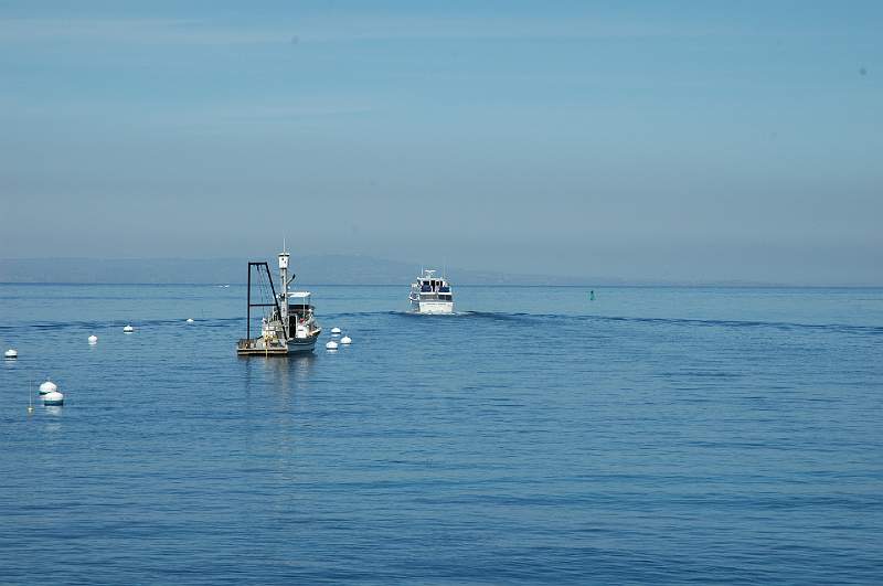 DSC_0233.JPG