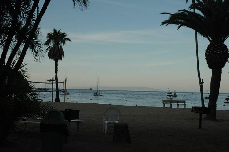 DSC_0246.JPG