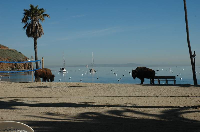 DSC_0277.JPG