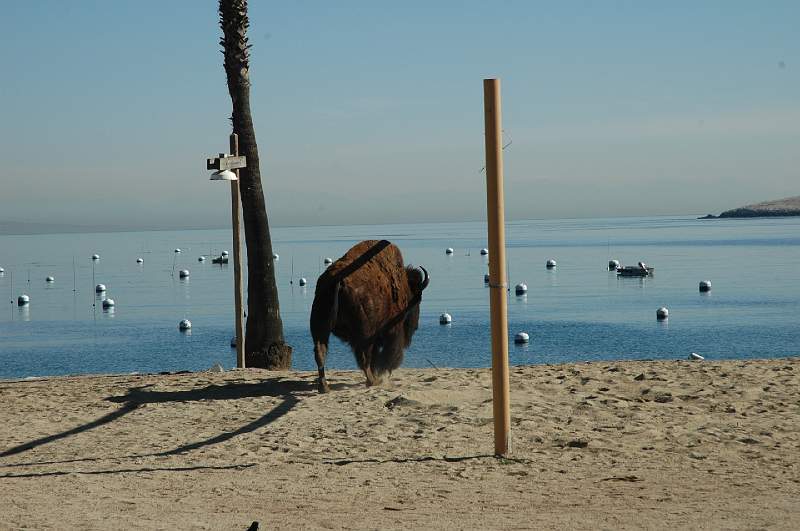 DSC_0291.JPG