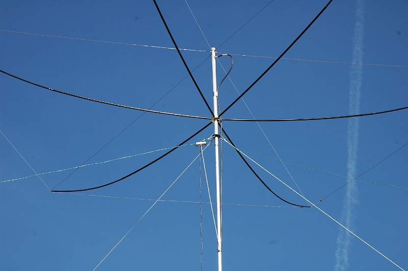 DSC_0302.JPG