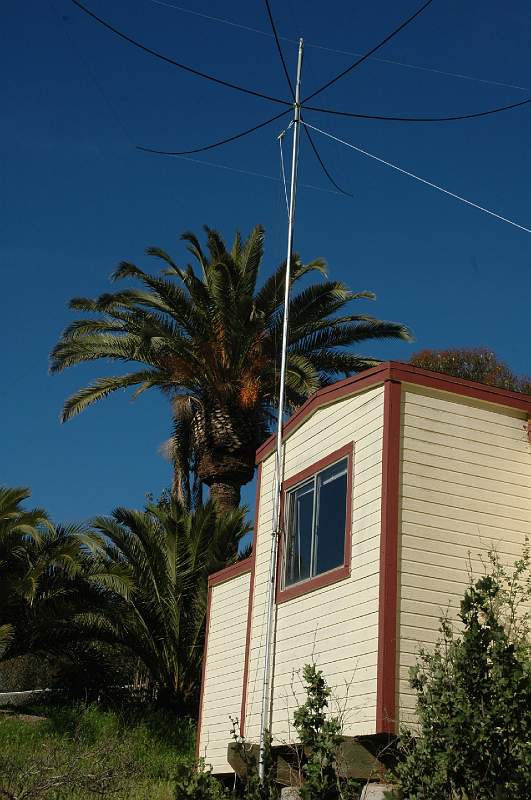 DSC_0303.JPG
