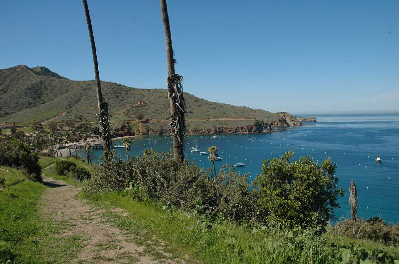DSC_0329.JPG