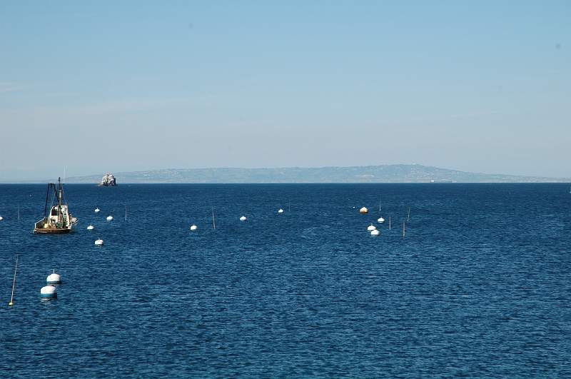 DSC_0354.JPG