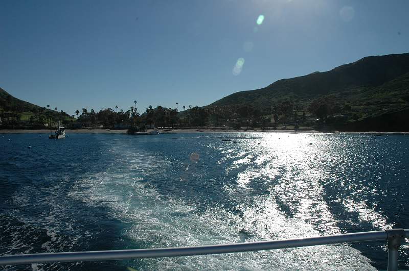 DSC_0359.JPG