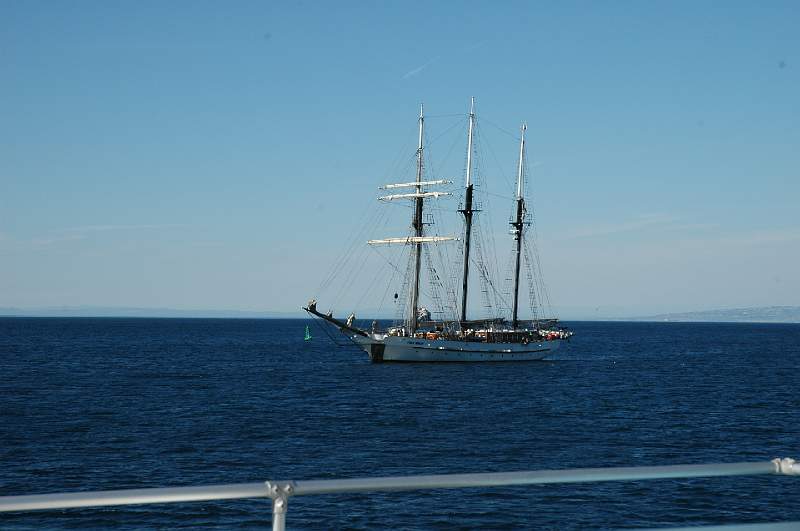 DSC_0364.JPG