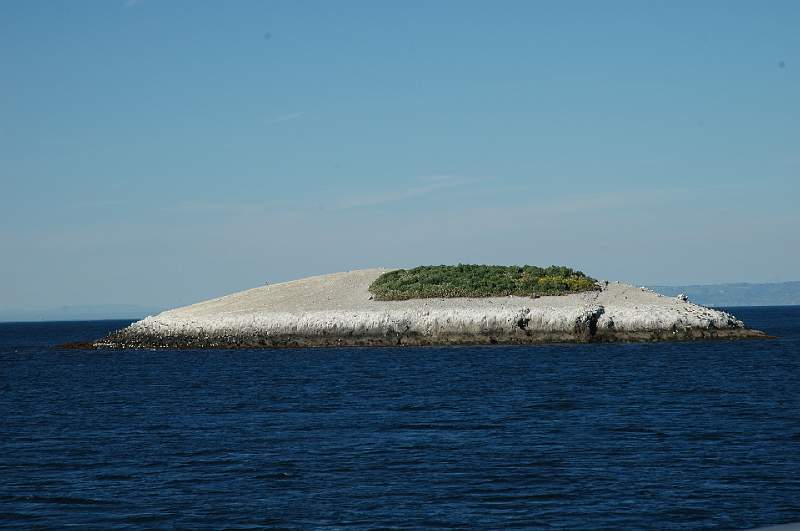 DSC_0369.JPG
