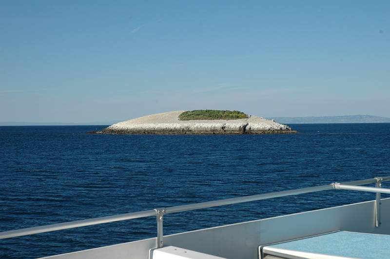 DSC_0370.JPG