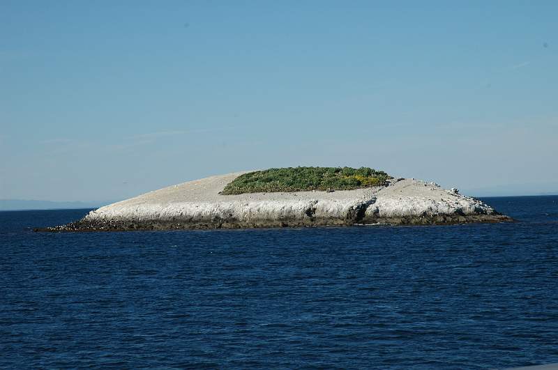 DSC_0371.JPG