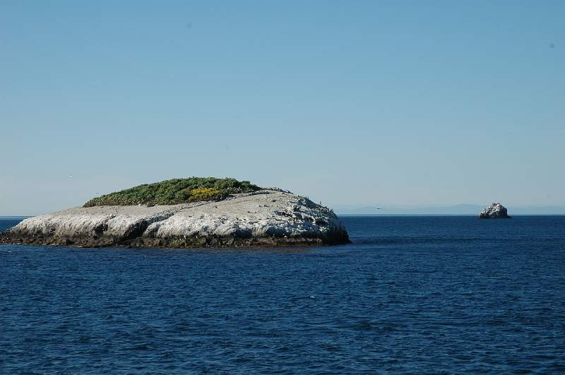 DSC_0372.JPG