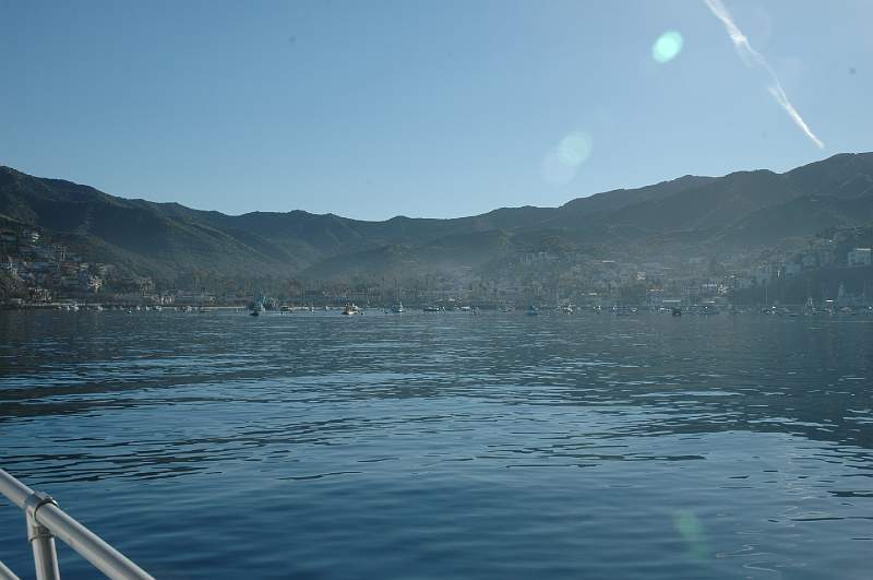 DSC_0394.JPG