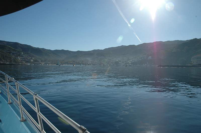 DSC_0395.JPG