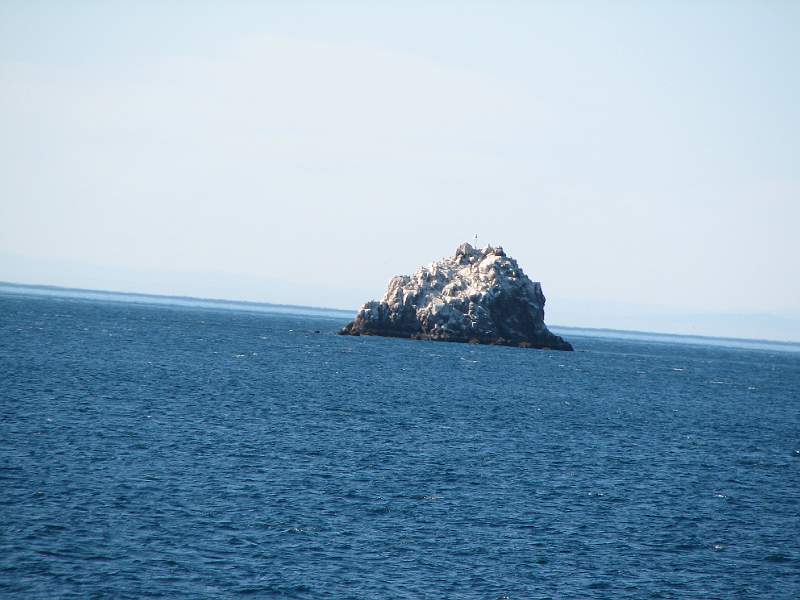 IMG_1170.JPG