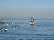 IMG_1132