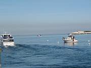 IMG_1141