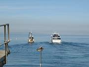 IMG_1142