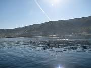 IMG_1179