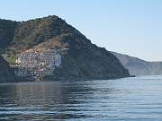 IMG_1181