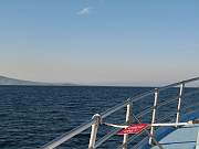 IMG_1190