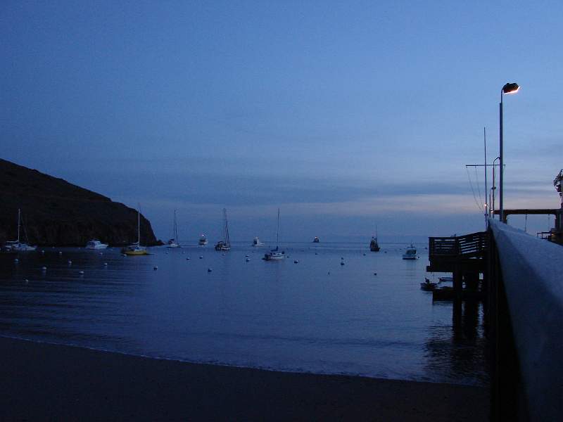 DSC08340.JPG