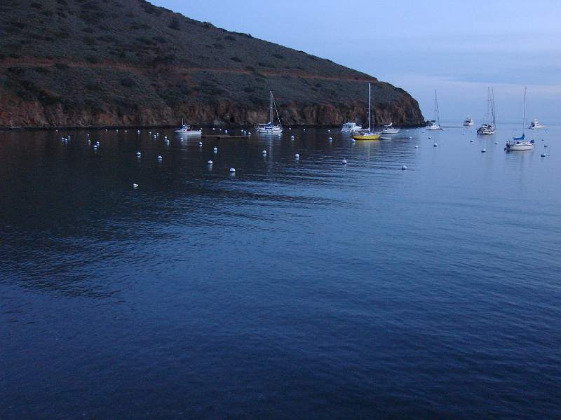 DSC08342.JPG