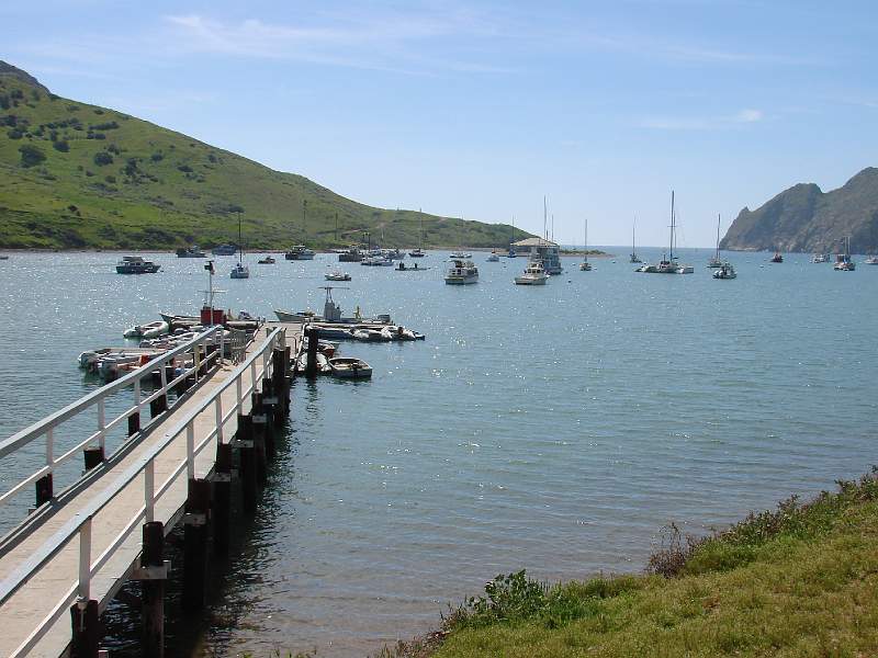 DSC08364.JPG