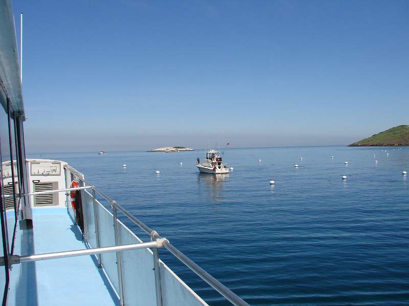 DSC08385.JPG