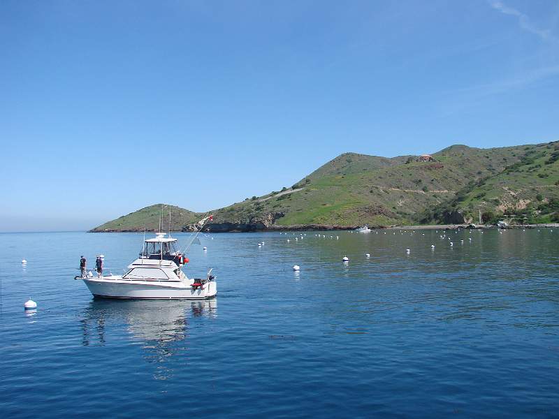 DSC08386.JPG