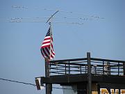 IMG_1509