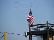 IMG_1510