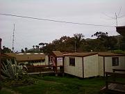 0226101441-00