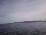 0228101505-01