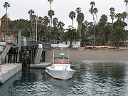IMG_0019