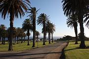 IMG_5358